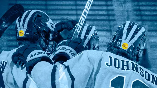 Social Justice: Ice Hockey Helmet Equality Decal