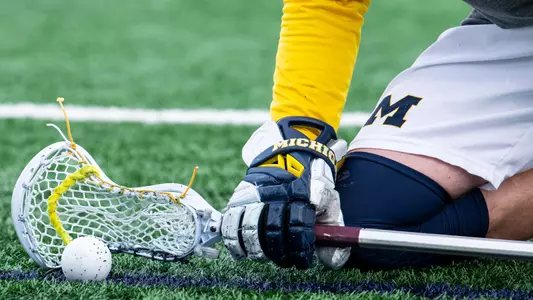 Men's Lacrosse Crosse and Ball Generic