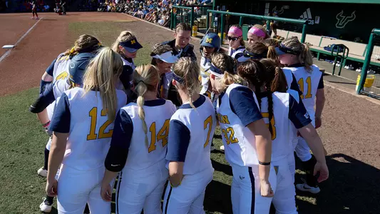 Softball Team Huddle Generic