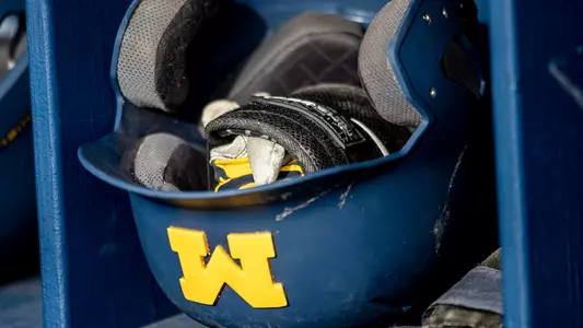 Baseball Batting Helmet Generic