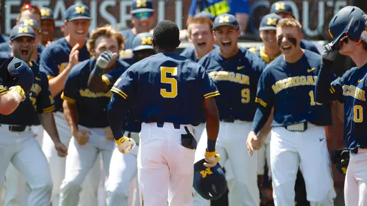 Baseball Home Run Celebration Generic