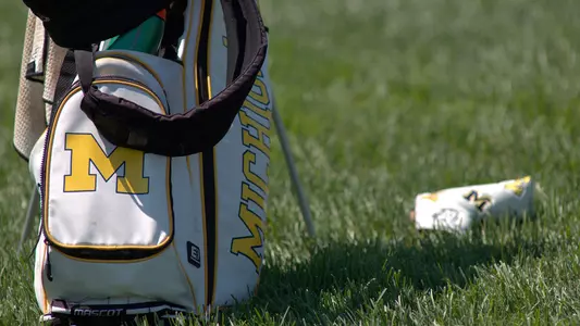 Women's Golf Bag generic