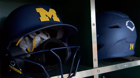 Softball Batting Helmets Generic