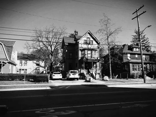 Quinn Melidona Photo - Carrot House