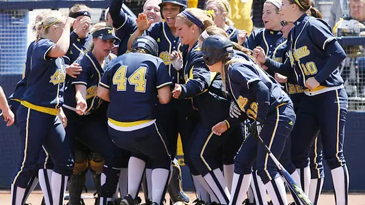Softball Celebration