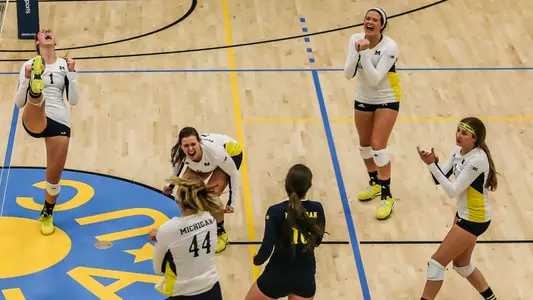 Volleyball Celebration