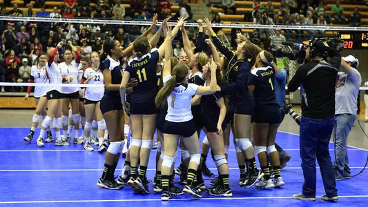 Volleyball Celebration