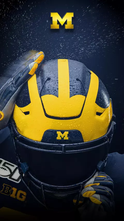 Keeping Wolverines Connected Wallpaper 10