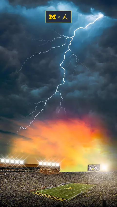 Keeping Wolverines Connected Wallpaper 5