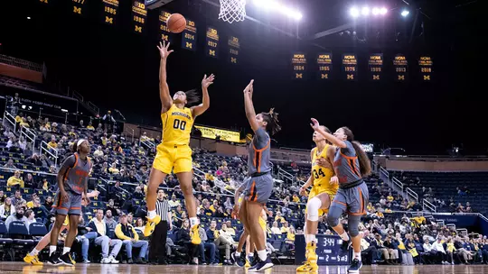 2019-20 Photos of the Year (Dianna J. Oatridge) -- Driving the Lame