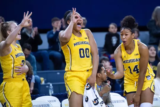 2019-20 Photos of the Year (Dianna J. Oatridge) -- Having a Three Party