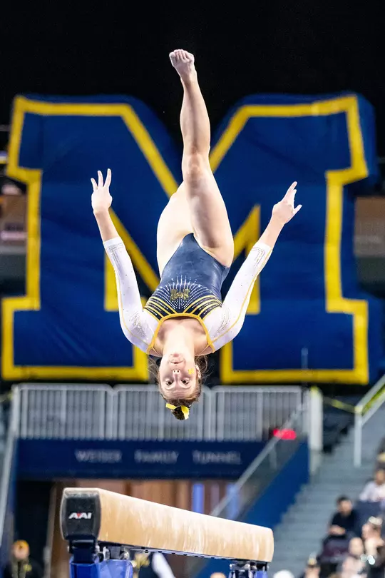 2019-20 Photos of the Year (Dianna J. Oatridge) -- Looking to Land