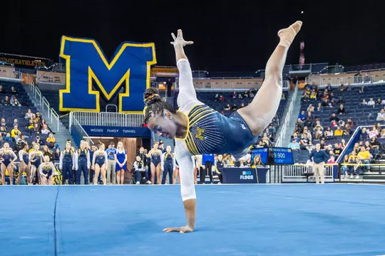 2019-20 Photos of the Year (Dianna J. Oatridge) -- Strength and Balance