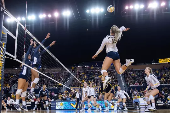 2019-20 Photos of the Year (Dianna J. Oatridge) -- Ready to Strike