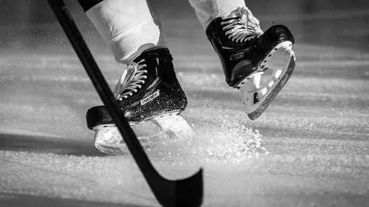 Ice Hockey Skates Generic