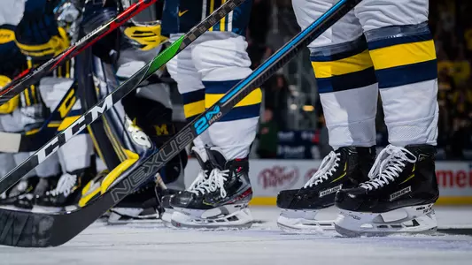 Ice Hockey Skates and Sticks Generic