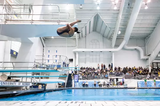 2019-20 Photos of the Year (Austin Thomason) -- Caught in Midair