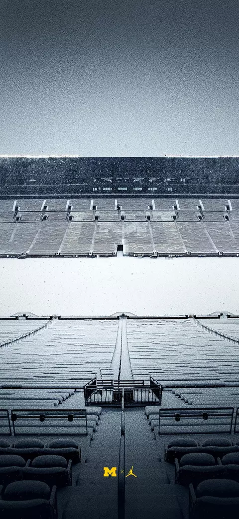 Keeping Wolverines Connected Wallpaper Snow Inside