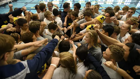 Swimming and Diving Group Huddle Generic