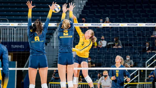 WVB- Scottee Johnson