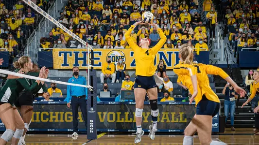 WVB- Scottee Johnson