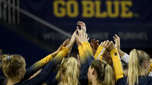 Volleyball Team Huddle Generic