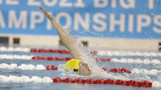 Wyatt Davis (Walt Middleton)