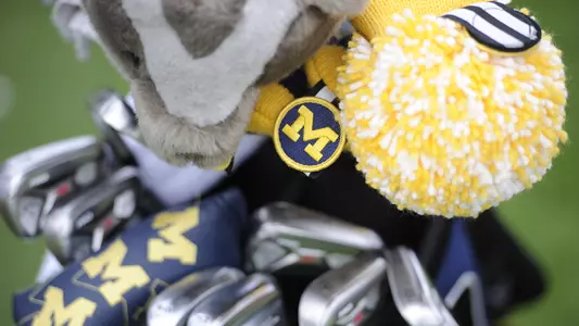 Women's Golf Bags generic