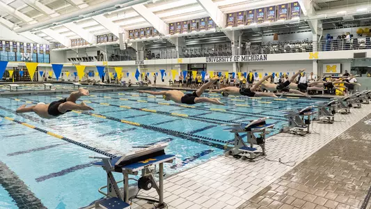 Swim and Dive generic