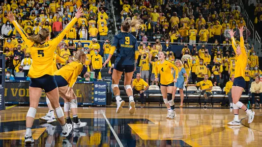 Volleyball celebration generic maize Crisler