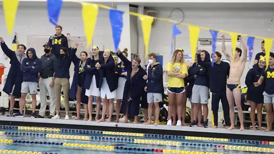 Swimming and Diving Cheering Generic (U-M Athletic Communications)