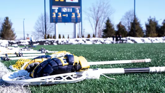 Women's Lacrosse Stick and Field Generic