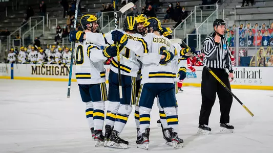 Ice Hockey Goal Celebration Generic