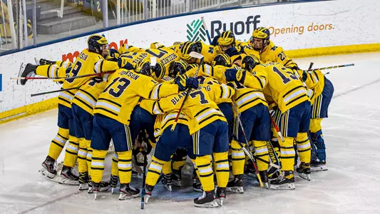 Ice Hockey Team Celebration Generic