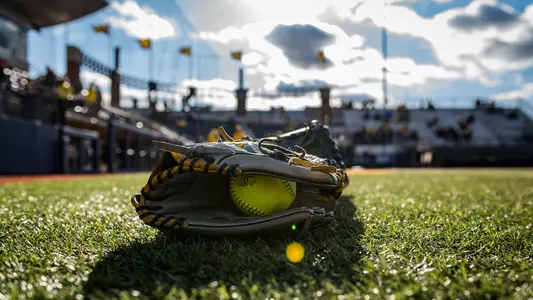 Softball Ball and Glove Generic