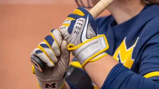 Softball Batting Gloves Generic