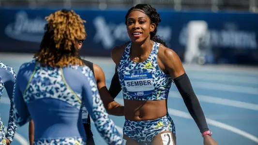 Cindy (Ofili) Sember