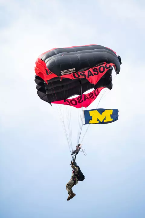 MGoTroops - Military Appreciation Flag