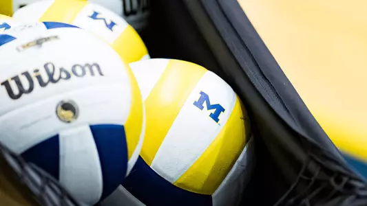 Volleyball Ball Bin Generic