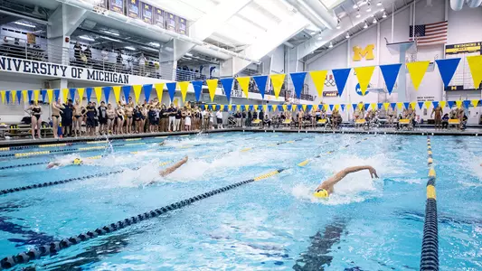 Men's Swimming and Diving at Canham Generic