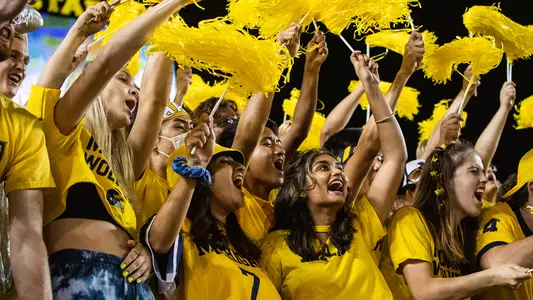 Maize Fans Generic