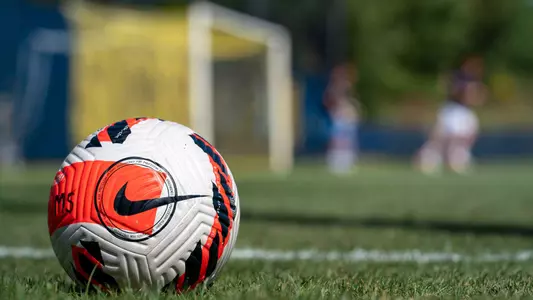 Men's Soccer Ball Generic