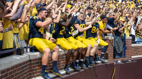 Football Players and Fans Celebrate Generic