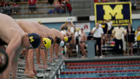 Men's Swimming and Diving Off the Blocks