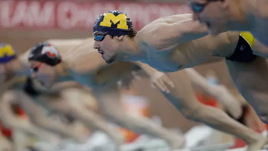 Gal Groumi (Michigan Photography)