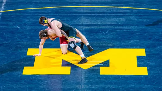 Wrestling block m generic mat