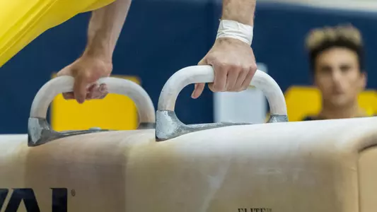 Men's Gymnastics Pommel Horse Generic