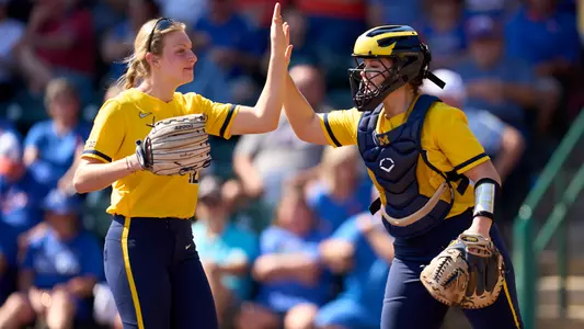 Softball High Five