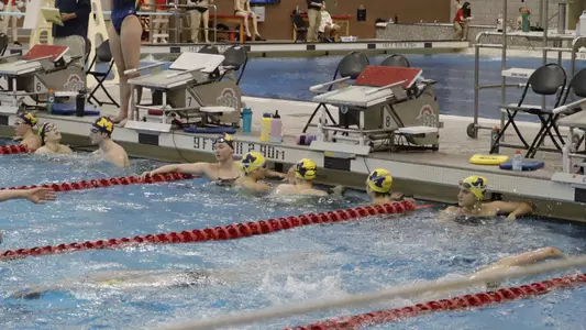 Women's swimming and diving generic