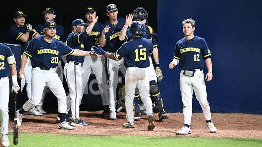 Baseball dugout celebration